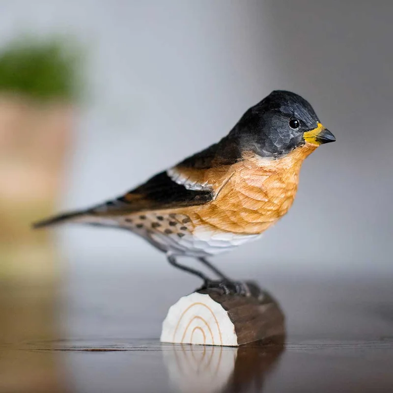 bienenkorb-shop-129815