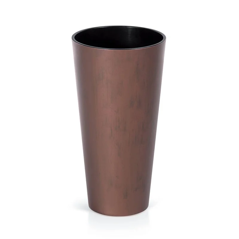 dajar-104979
