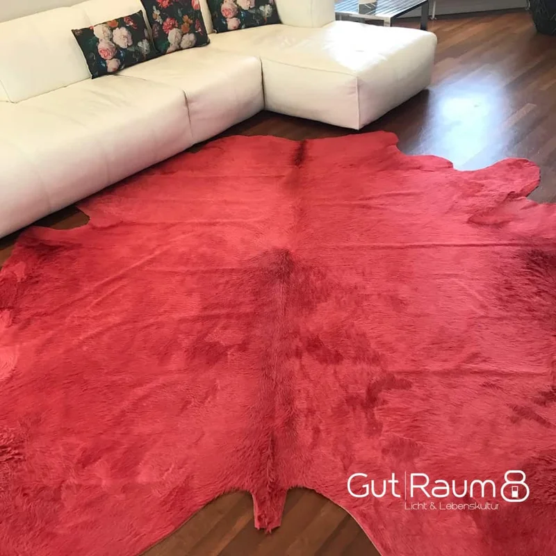 gutraum8151371