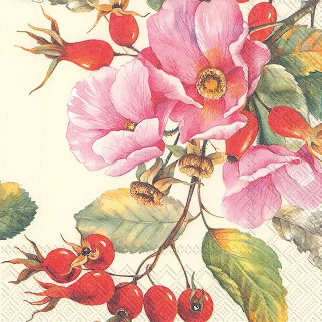 kueche-und-tisch-179166