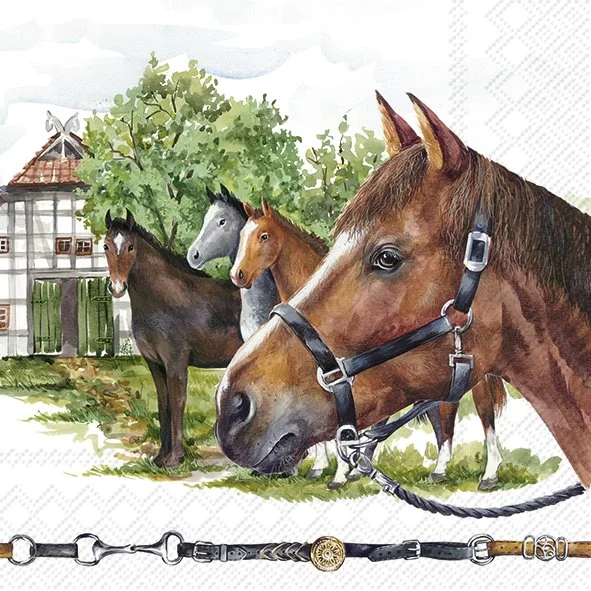 kueche-und-tisch-180529
